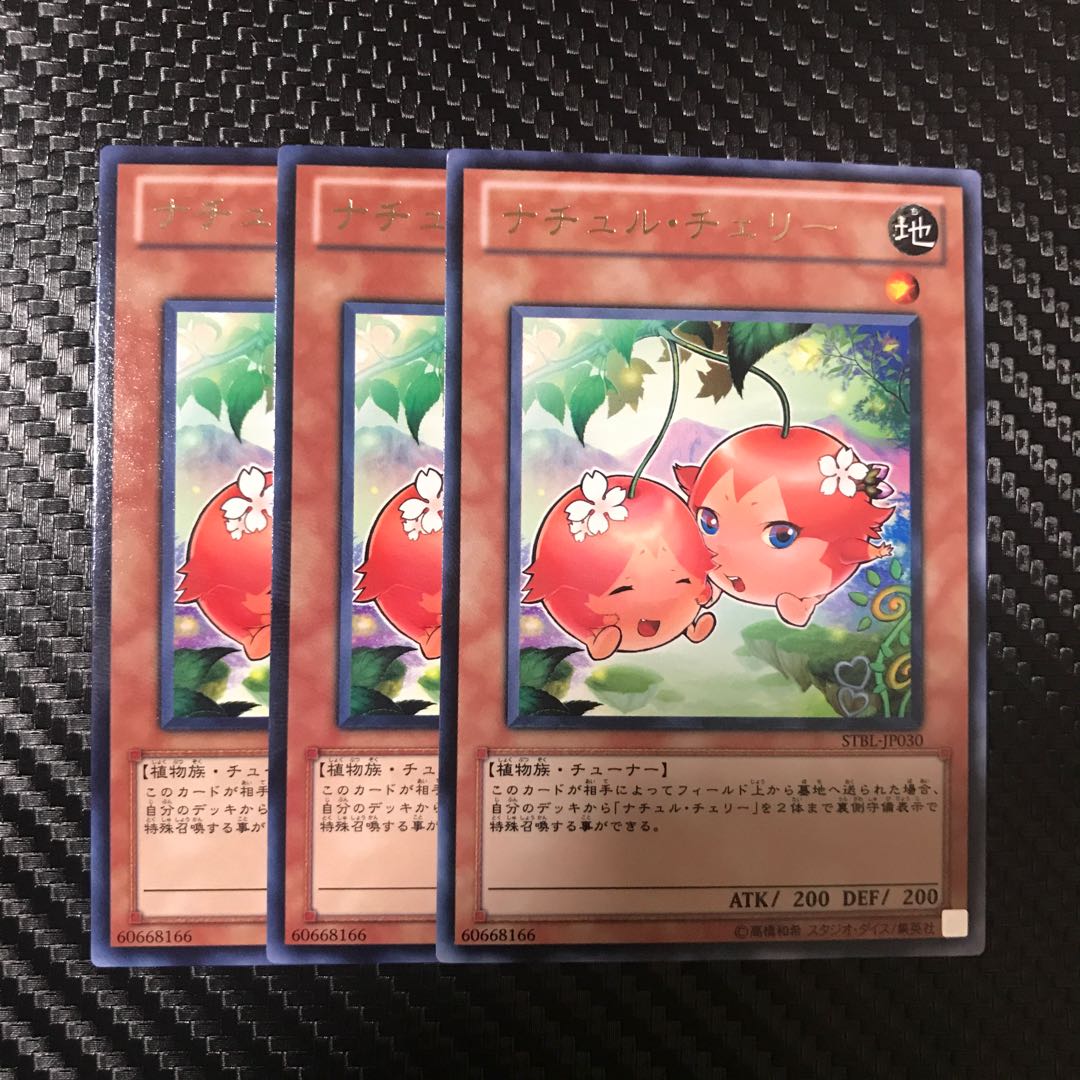 ナチュル・チェリー R