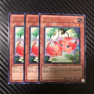 ナチュル・チェリー R