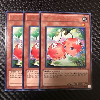 ナチュル・チェリー R