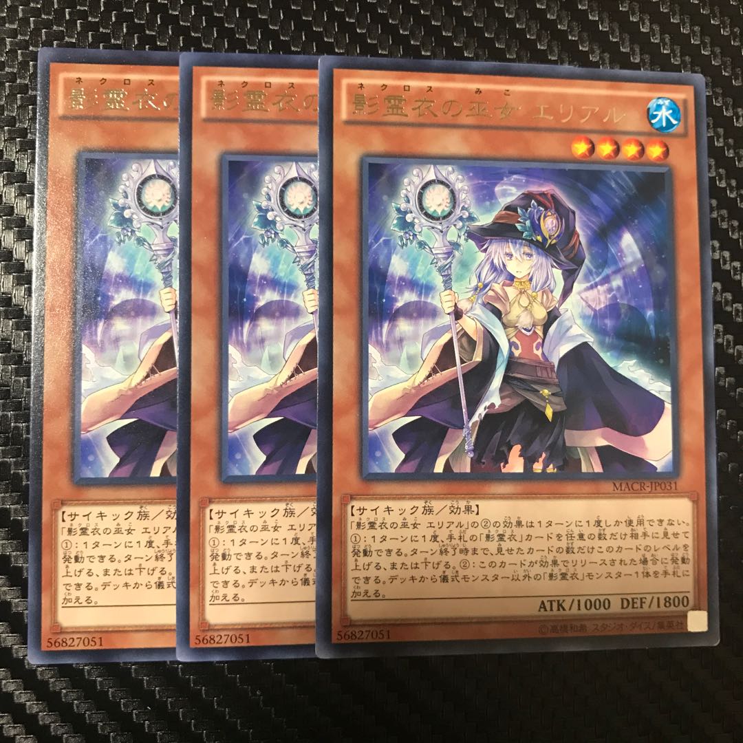 影霊衣の巫女 エリアル R