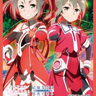 写真のスリーブ探してます