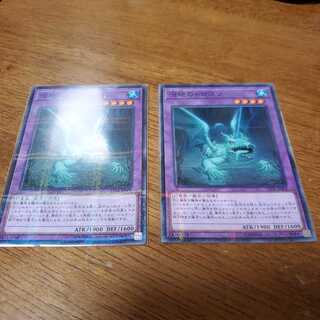 沼地のドロゴン P-N