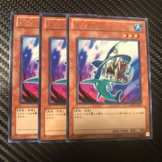 ビッグ・ジョーズ R