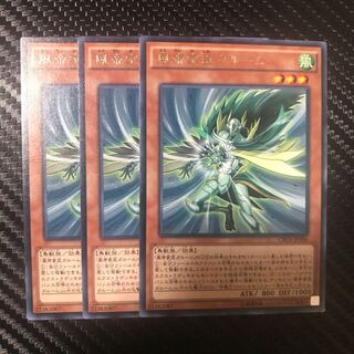 風帝家臣ガルーム R