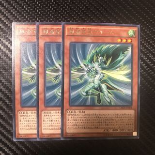 風帝家臣ガルーム R