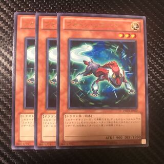 フォトン・リザード R