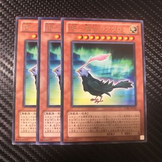 BF-極光のアウロラ R