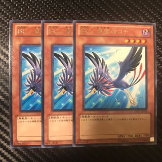 BF-東雲のコチ R