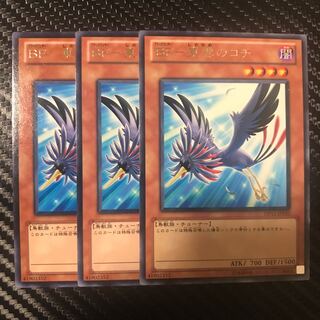 BF-東雲のコチ R