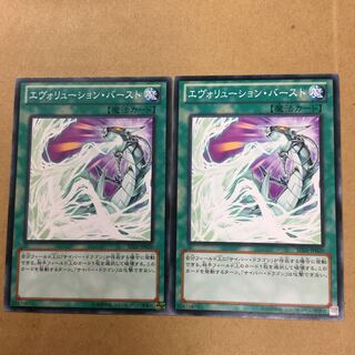 エヴォリューション・バースト　２枚