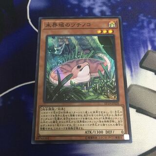 未界域のツチノコ