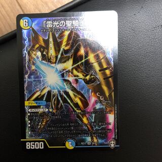 「雷光の聖騎士」