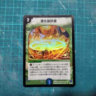 進化設計図 プロモ