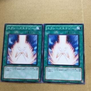 エクシーズエナジー　２枚