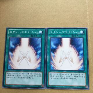 エクシーズエナジー　２枚