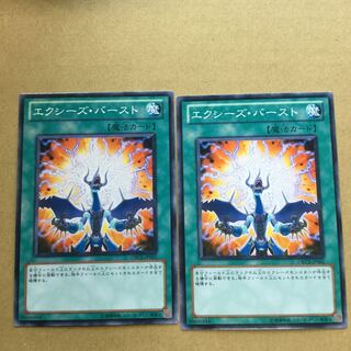 エクシーズ・バースト　２枚