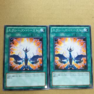 エクシーズ・バースト　２枚