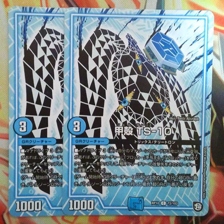 甲殻 TS-10 二枚セット