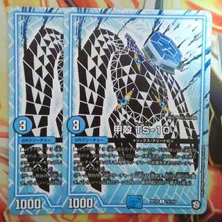 甲殻 TS-10 二枚セット