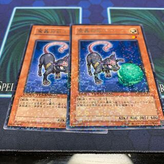 魔轟神獣キャシー R