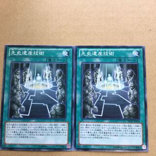 先史遺産技術　２枚