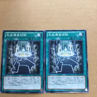 先史遺産技術　２枚