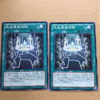 先史遺産技術　２枚