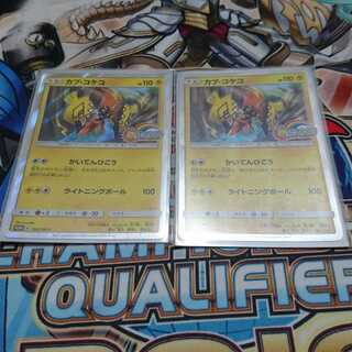 カプコケコ２枚