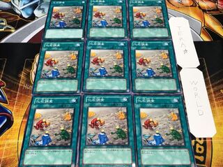 化石調査 ノーマル 9枚セット てら