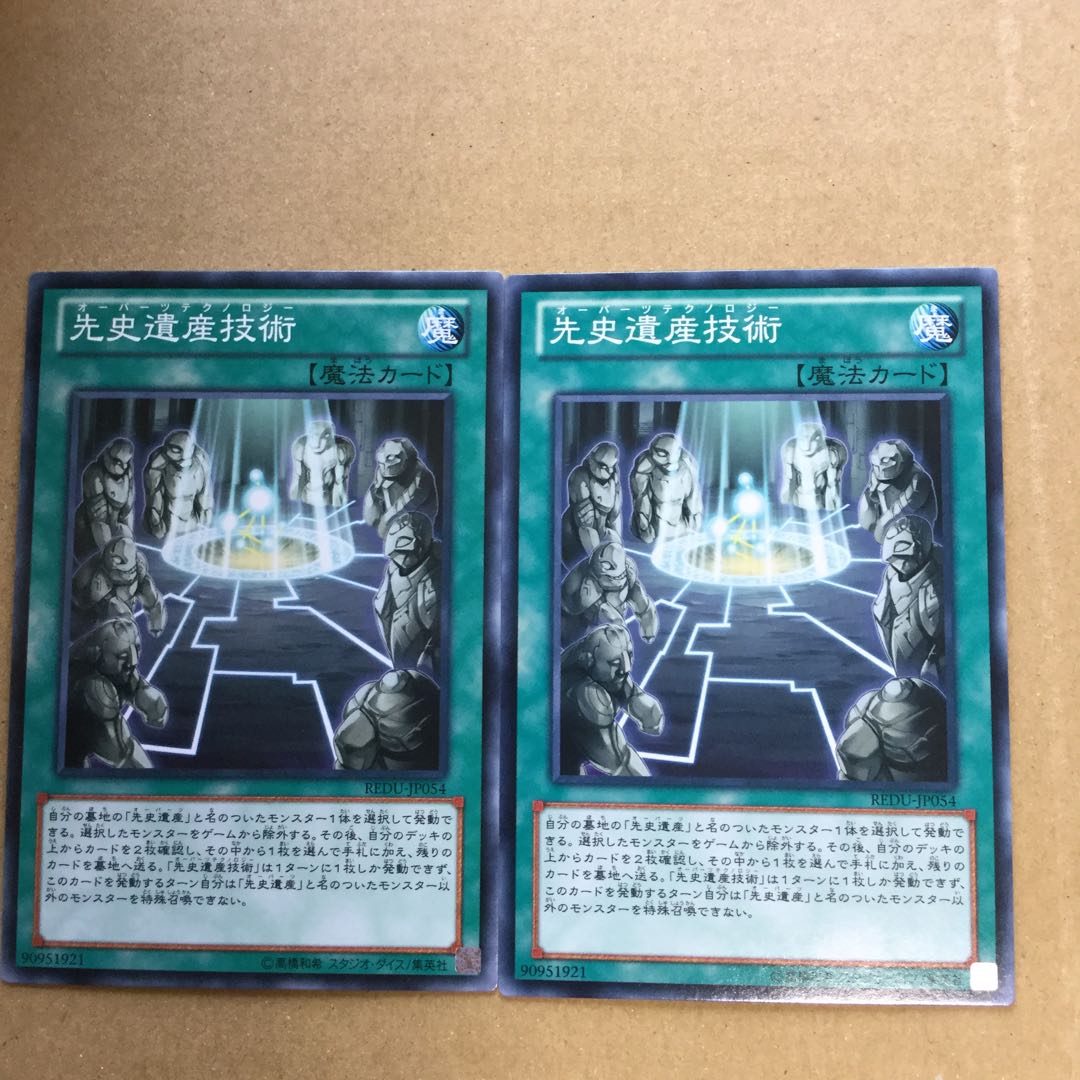 先史遺産技術　２枚