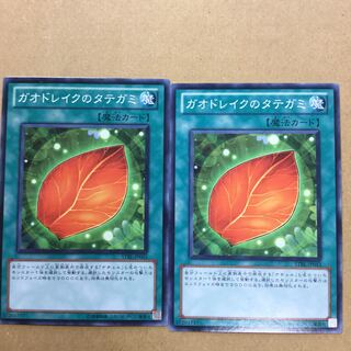 ガオドレイクのタテガミ　２枚