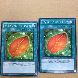 ガオドレイクのタテガミ　２枚