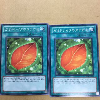 ガオドレイクのタテガミ　２枚