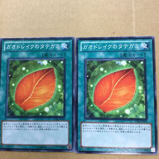 ガオドレイクのタテガミ　２枚