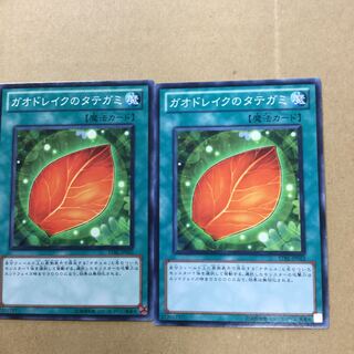 ガオドレイクのタテガミ　２枚