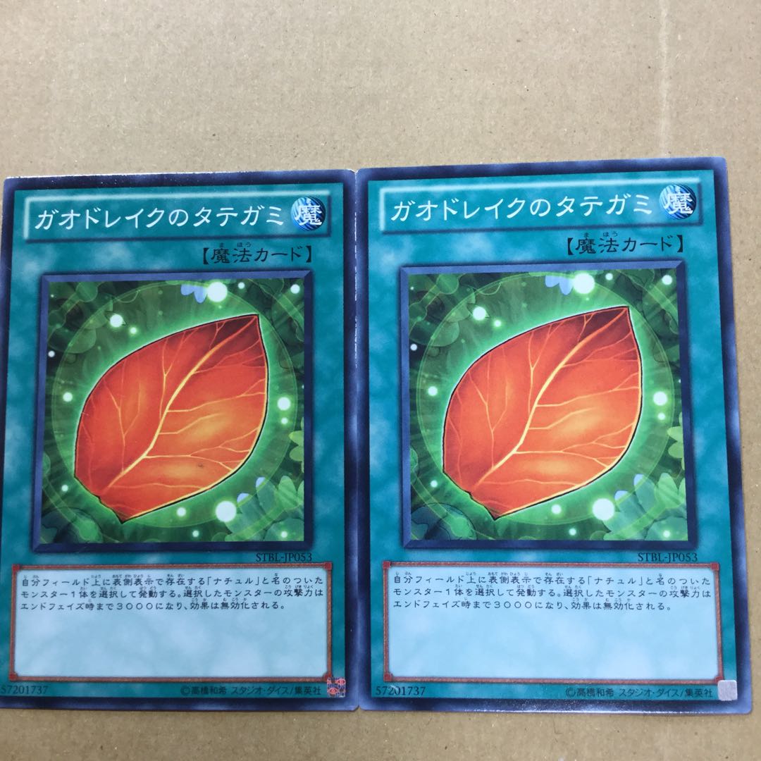 ガオドレイクのタテガミ　２枚