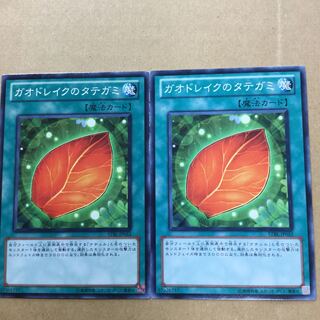 ガオドレイクのタテガミ　２枚