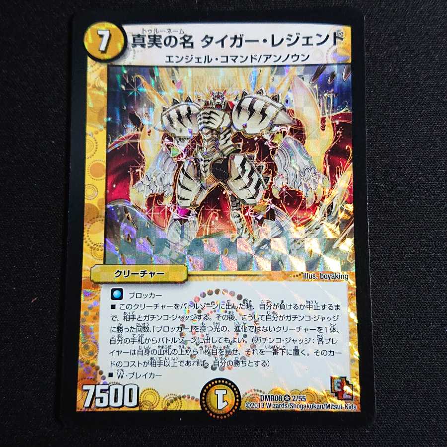 真実の名 タイガー・レジェンド