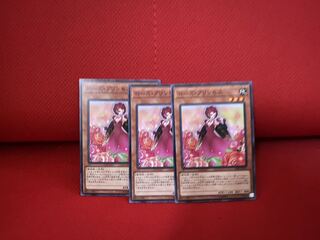 ローズ・プリンセス N 3枚セット