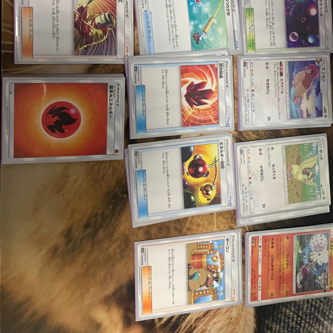 ズガドーン ガチ構築 立ち回り詳細を参照お願いします