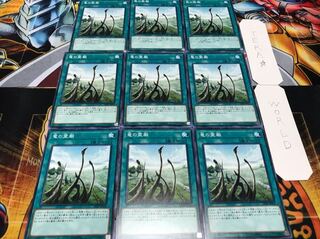 竜の霊廟 ノーマル 9枚セット