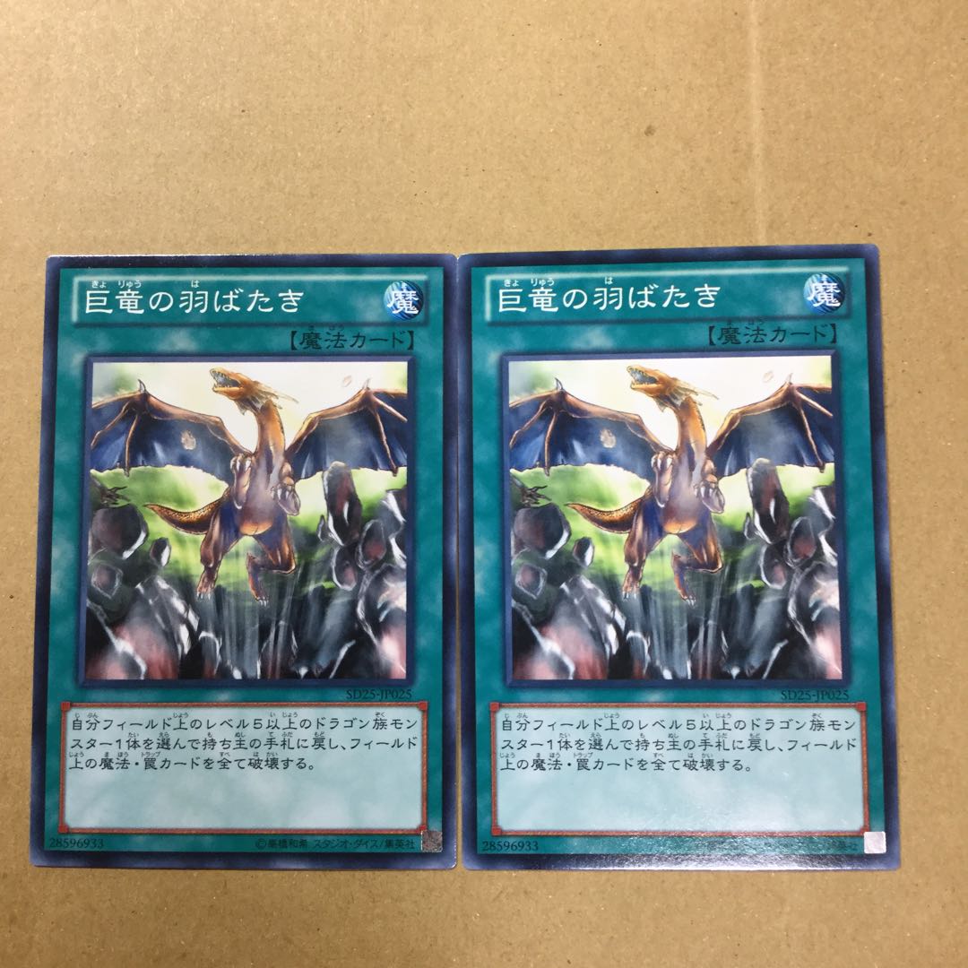 巨竜の羽ばたき　２枚