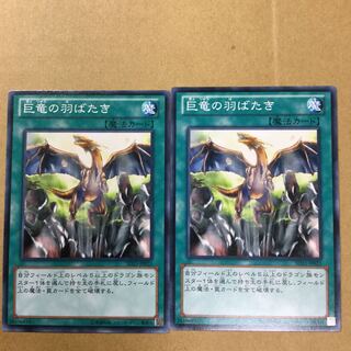 巨竜の羽ばたき　２枚