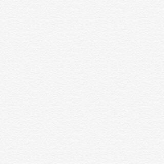 サンソン様専用