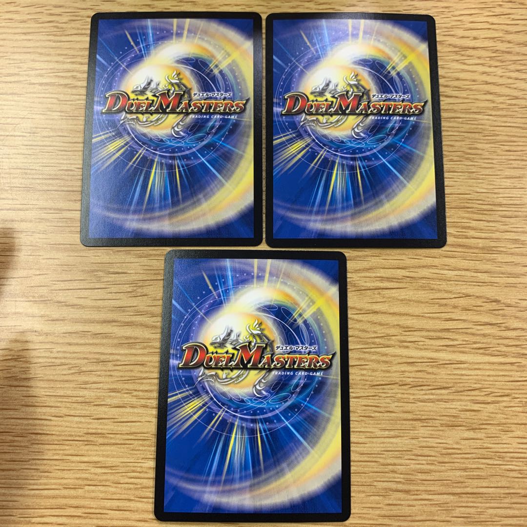 「絶対の楯騎士」