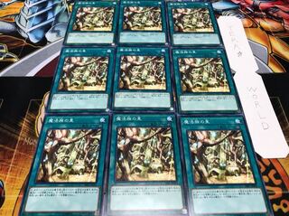 魔法族の里 ノーマル 9枚セット てら