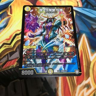 煌メク聖壁 灰瞳