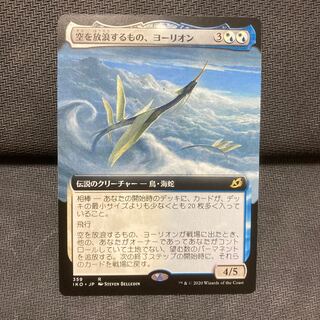 空を放浪するもの、ヨーリオン　拡張アート