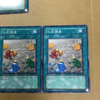 化石調査　２枚