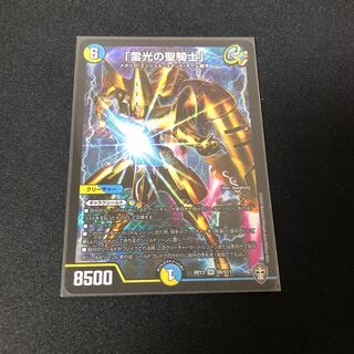 「雷光の聖騎士」